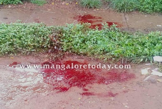 flower merchant gruesomely murdered 4